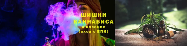 СК Медногорск