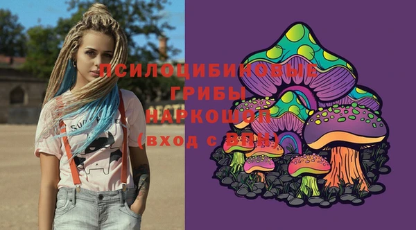 молекула духа Мегион