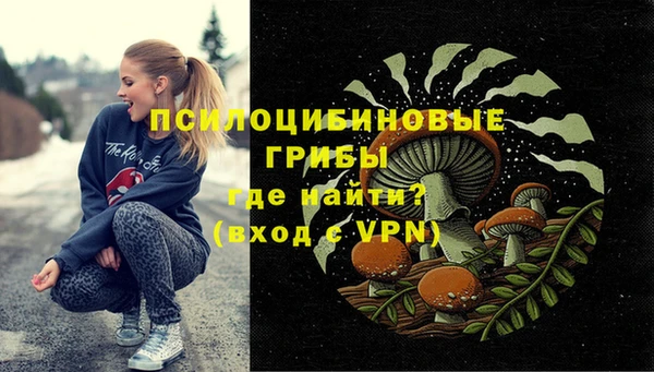 молекула духа Мегион