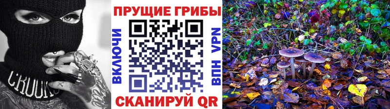 наркошоп  Самара  Галлюциногенные грибы Cubensis 