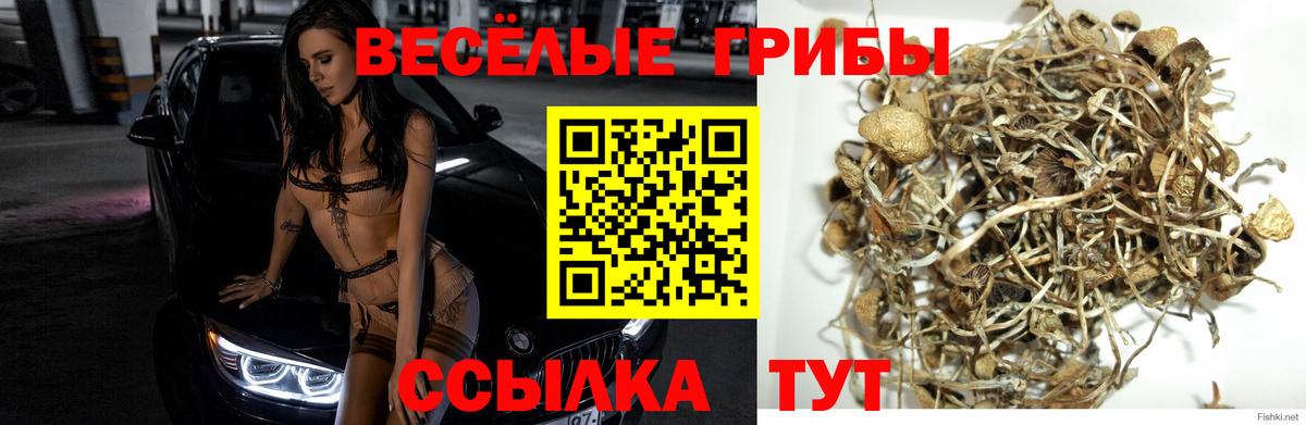 Галлюциногенные грибы MAGIC MUSHROOMS Самара