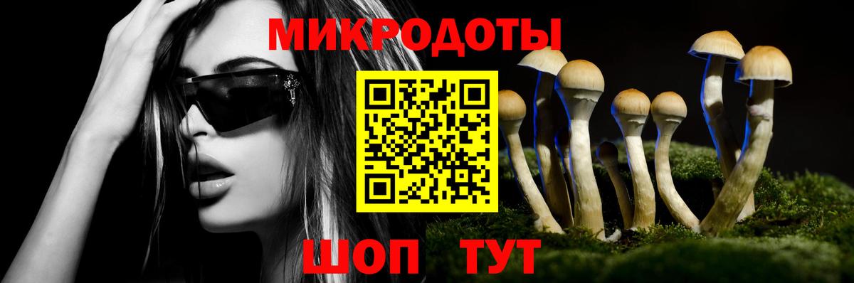 наркота  Вход с VPN  Самара  Галлюциногенные грибы Psilocybe 